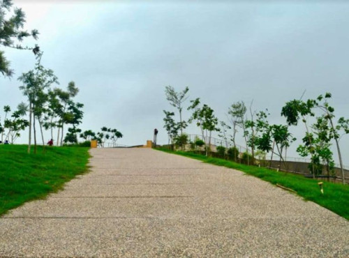 Untitled-1-3-1-768x568