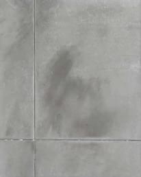 lcc-apperance-wet